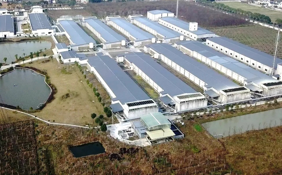 Raisetech-Intelligent Agriculture industrial Chain Solution Provider